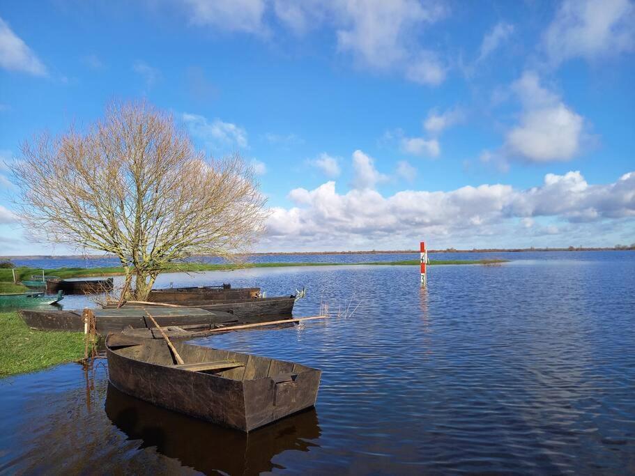 Lac Grand Lieu : Maisonnette Au Calme Avec Jardin Saint-Lumine-de-Coutais Eksteriør billede
