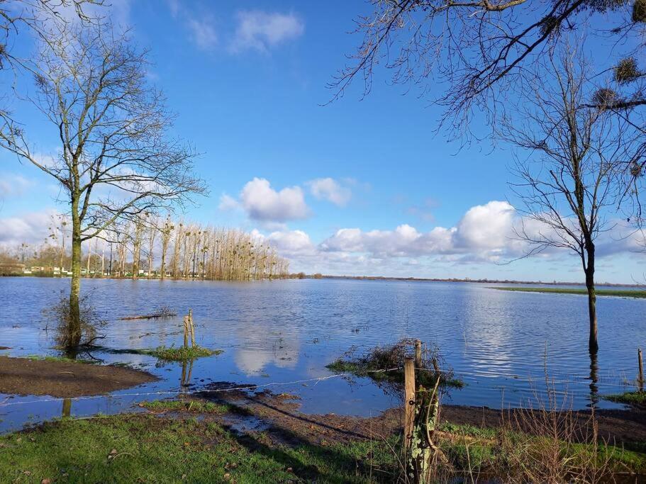 Lac Grand Lieu : Maisonnette Au Calme Avec Jardin Saint-Lumine-de-Coutais Eksteriør billede